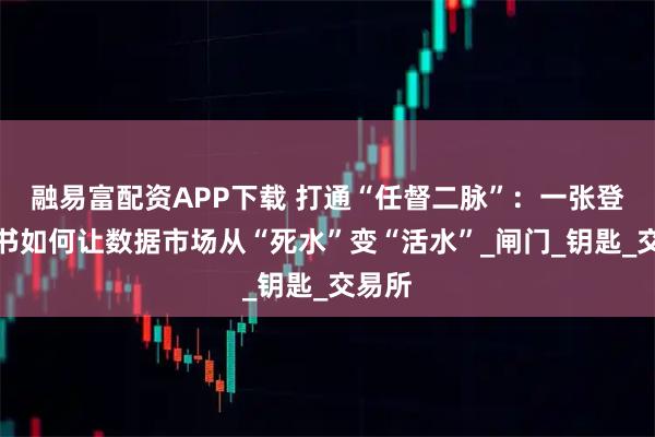 融易富配资APP下载 打通“任督二脉”：一张登记证书如何让数据市场从“死水”变“活水”_闸门_钥匙_交易所