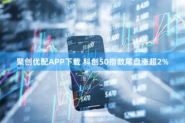 聚创优配APP下载 科创50指数尾盘涨超2%